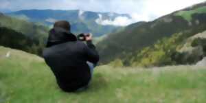 photo Au grès du jazz : Partitions de paysages