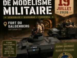photo Exposition de modélisme militaire