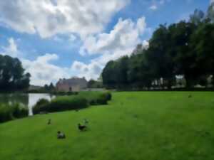 photo Cinéma en plein air à Fontenay-le-Pesnel
