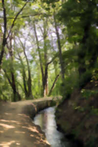 photo RANDO ACCOMPAGNEE : LE CANAL DE BOHERE ET L'ABBAYE SAINT-MICHEL DE CUXA
