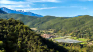 photo RANDO ACCOMPAGNEE : LE PUIG MARBET ET LES VILLAGES DE LA VALLEE DU LLECH