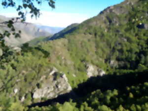 photo RANDO ACCOMPAGNEE : SENTIER DE CANTAPOC DANS LA VALLEE DE LA ROTJA