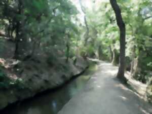 photo RANDO ACCOMPAGNEE : LE CANAL DE BOHERE, LA VIE SUR LES CONTREFOTS DU CANIGO