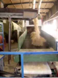 photo Les Visites du Jeudi > Agrochanvre
