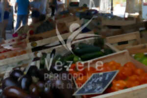 photo Marché Nocturne