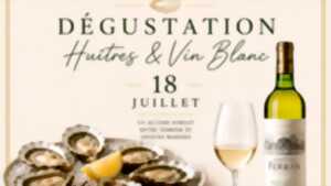 photo Dégustation Huîtres et Vin blanc