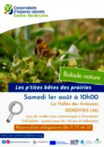 photo Balade nature