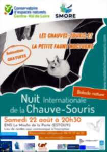 photo Nuit internationale de la chauve-souris
