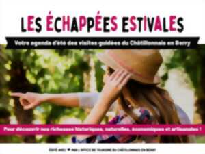 photo Les Échappées Estivales : Promenades nature accompagnées à la découverte de la biodiversité locale