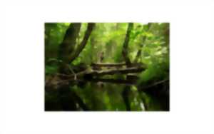 photo Sortie nature - Saligue secrète, une vie animale