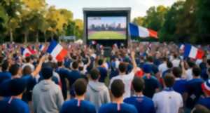 photo Coupe du monde : diffusion de la finale sur écran géant