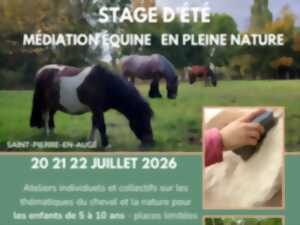 photo Stage d'été médiation équine en plein nature