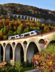 photo Ligne de shirondelles