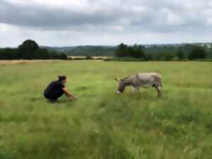 photo Chasse aux trésors