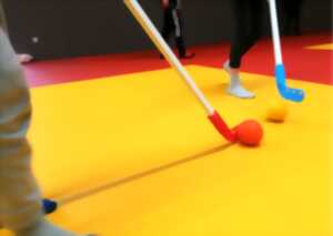 photo Sport en familles : Floorball