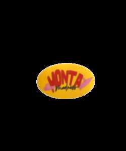 photo Monta Surf School
