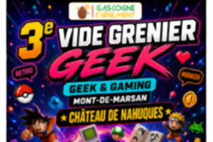 photo Vide Grenier Geek