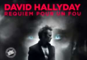 photo David Hallyday - Zénith de Limoges
