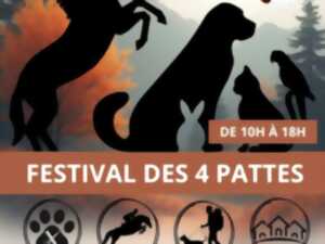 photo Festival des 4 Pattes
