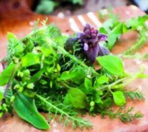 photo Atelier de transformation de plantes