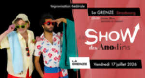 photo Le Show des Anodins – théâtre d’impro à La Grenze