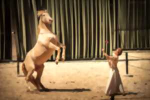photo Théâtre équestre Hors(e) série - j'en parlerai à mon cheval