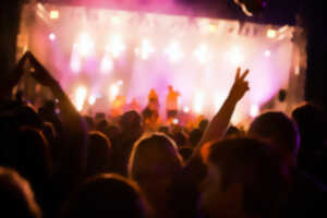 photo I Gotta Feeling - Zénith de Limoges