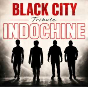 photo Concert Tribute Indochine