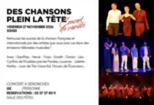 photo Concert - Des Chansons Plein la Tête