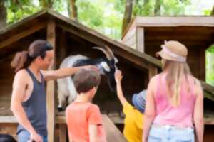 photo Les vacances d'été au Thot