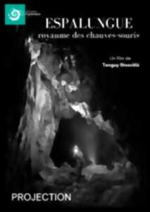 photo Projection - échanges : Espalungue, le royaume des chauves souris
