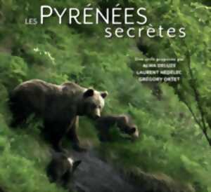 photo Projection - échanges : Le roi des fôrets ancestrales, l'Ours Brun