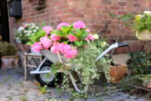 photo Courses de brouettes