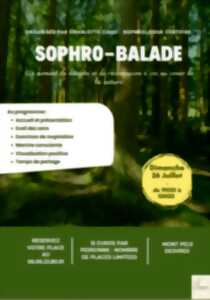 photo Sophro-Balalde au Mont-Pelé