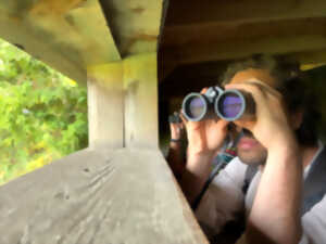 photo Visite guidée de la Réserve ornithologique du Teich en anglais