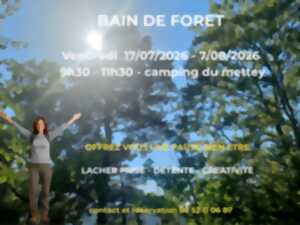 photo Bain de forêt