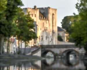 photo Visites commentées et exposition - L'été au Donjon de Niort