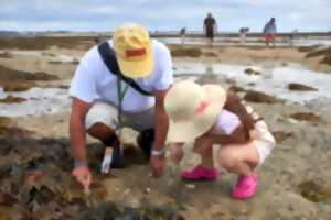 photo Expérience de Destination : J'apprends à pêcher la palourde à la marque !
