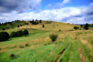 photo Quel beau paysage!