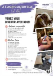 photo atelier laine