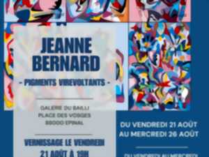 photo Exposition - Pigments Virevoltants