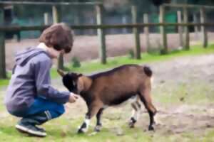 photo Animations de l'Été : Ferme d'Ellia