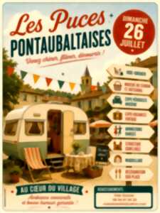photo Puces Pontaubaltaises
