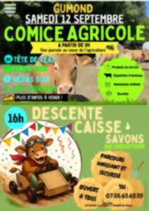 photo Comice agricole et Descente caisse à savons