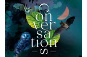 photo Les Conversations | La nuit de la chouette