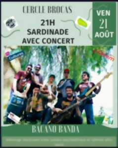 photo Concert BACANO BANDA + SARDINADE