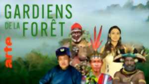 photo Docu Gardiens de la forêt – Gabon la forêt qui soigne (4/5)