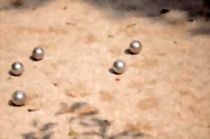 photo Tournoi annuel de Pétanque du Rugby club Folles