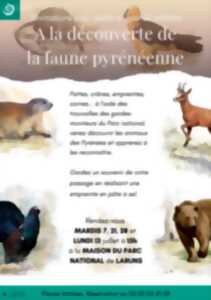 photo A la découverte de la faune pyrénéenne