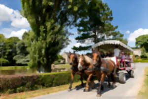 photo Balade en attelage 